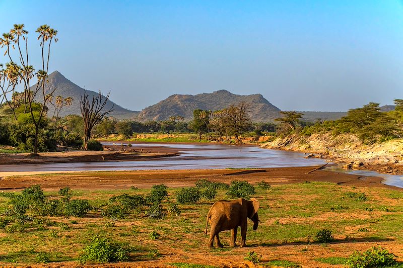 Safari à Samburu au Kenya en privatif, avec visite d'Ol Pejeta et découverte du Masai Mara et du Lac Nakuru