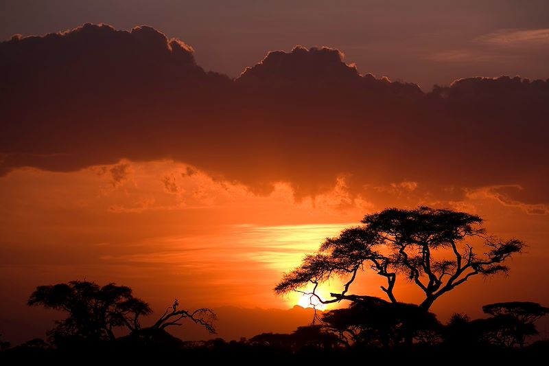 Parc national d'Amboseli - Kenya