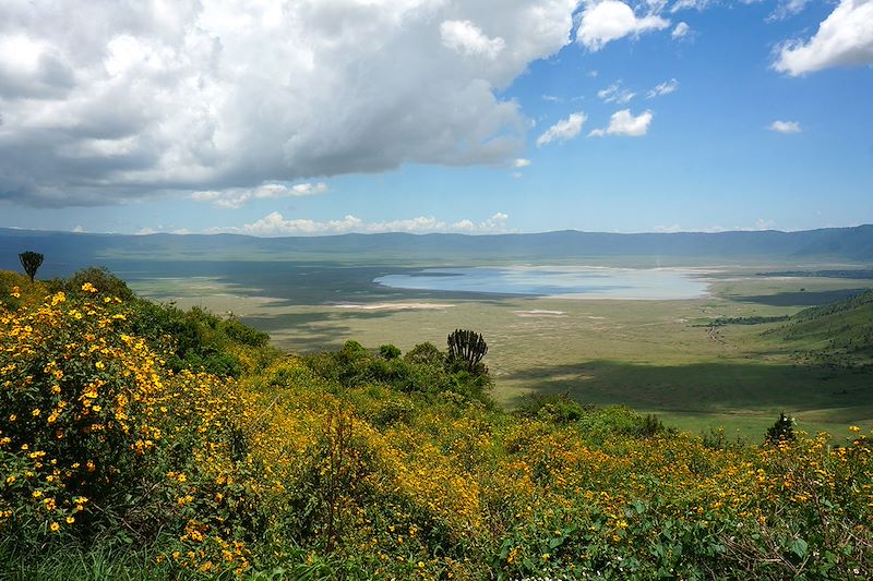 Envolée littéraire en Afrique de l'Est...