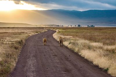 voyage Envolée littéraire en Afrique de l'Est...