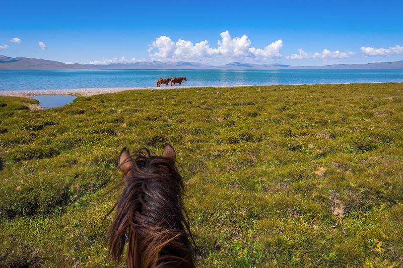 Chevaux près du lac Son Koul - Massif des Tian Shan - Province de Naryn - Kirghizistan