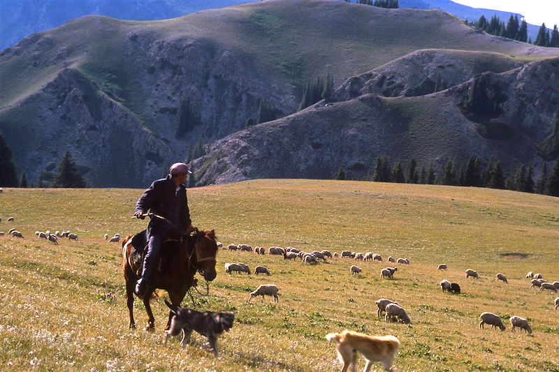 Trekking chez les nomades kirghiz