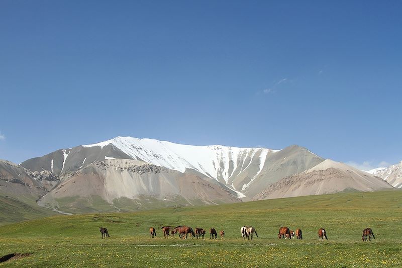 Paysage du Kirghizistan