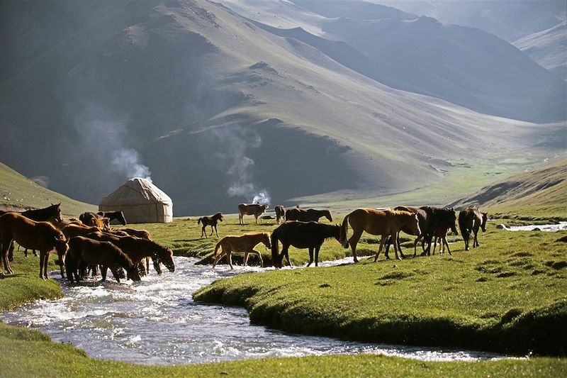 Vallée de la Tash Rabat - Kirghizistan