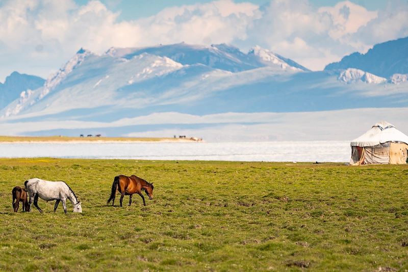 Lac Son Kol - Naryn - Kirghiszistan