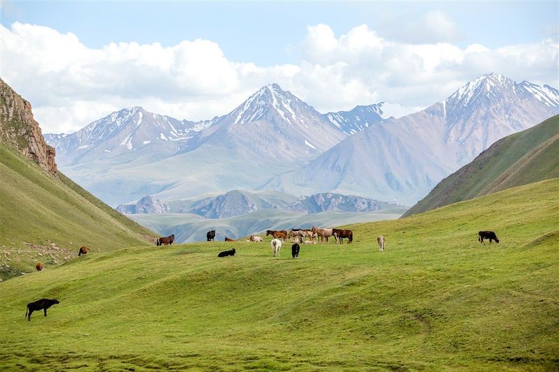 Immersion chez les nomades Kirghiz 