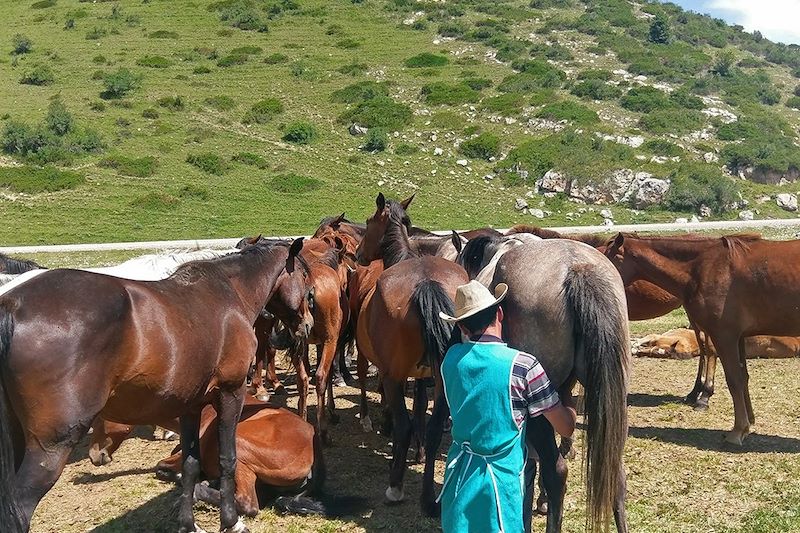 Immersion chez les nomades Kirghiz 