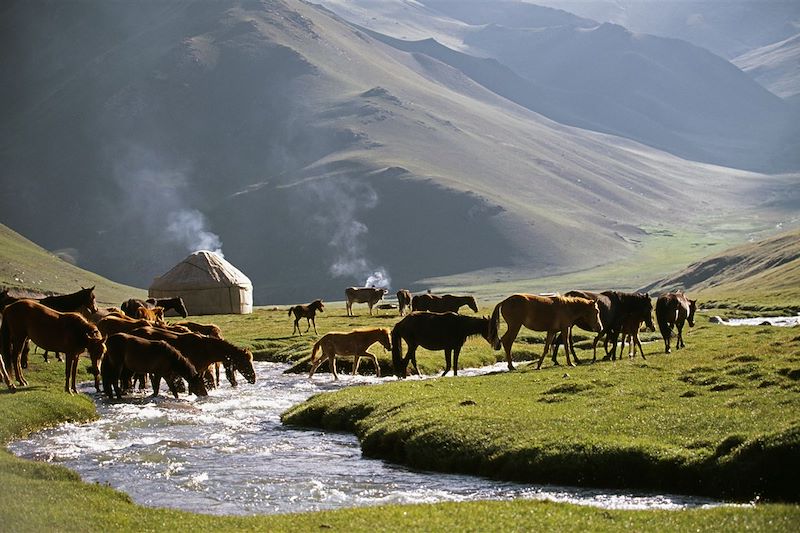 Vallée de la Tash Rabat - Kirghizistan