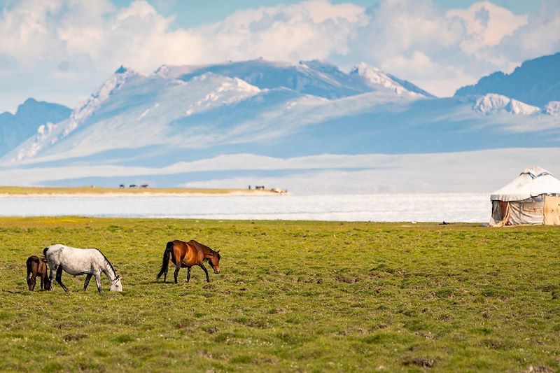 Lac Son Kol - Naryn - Kirghiszistan