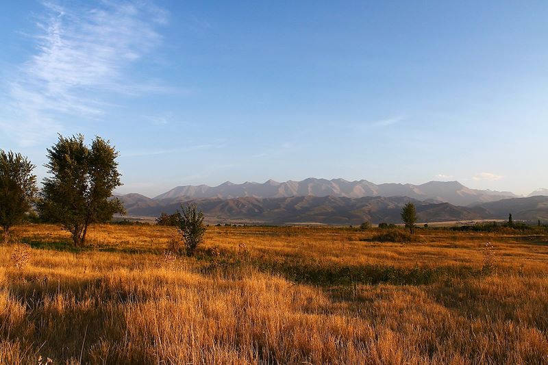 Au pays des monts Célestes