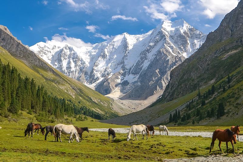 Au pays des monts Célestes