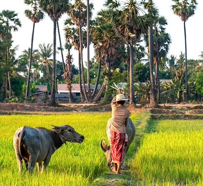 Voyages sur mesure Cambodge