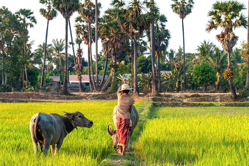 Circuit au Cambodge hors des sentiers battus avec chauffeur, entre incontournables et hauts plateaux