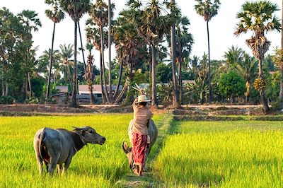 Sur les pistes rouges du Cambodge
