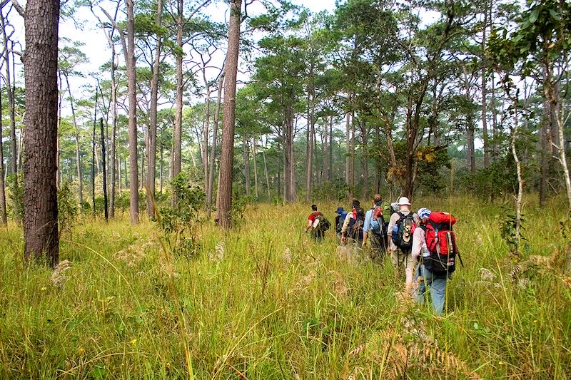 Trek dans la Chaîne des Cardamomes - Cambodge