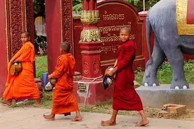 voyage Du Mondolkiri aux temples d'Angkor