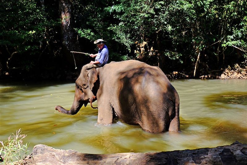 Province de Mondol Kiri - Cambodge