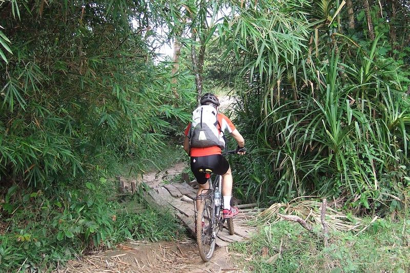 Région des Cardamones - Cambodge