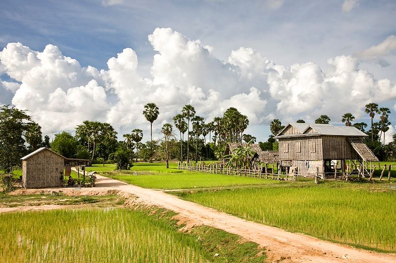 Environs de Battambang - Cambodge