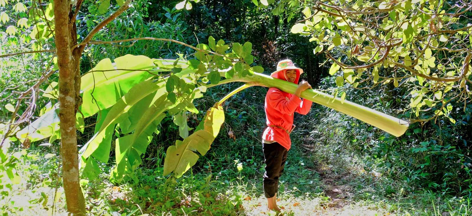 Image En immersion dans la campagne khmère