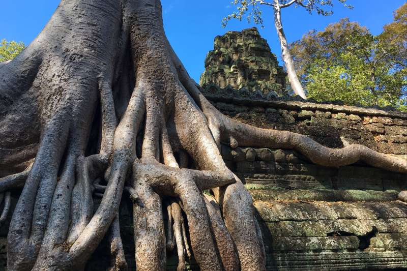 Angkor à l'aventure ! 