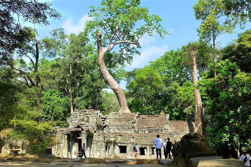 Temple d'Angkor - Cambodge