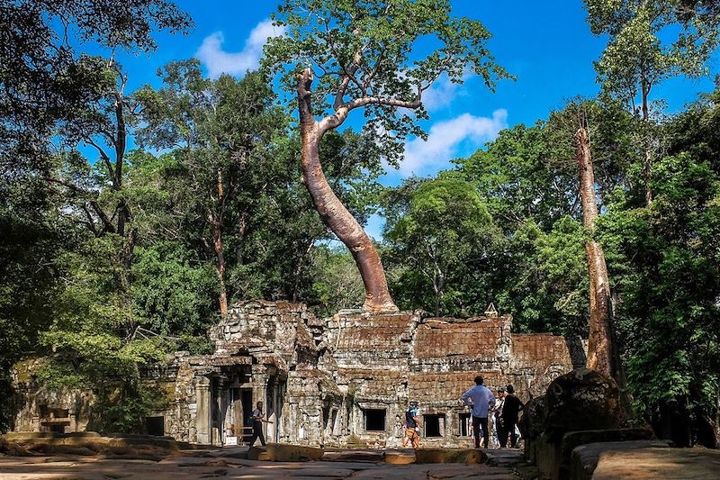 Temple d'Angkor - Cambodge