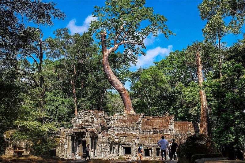 Temple d'Angkor - Cambodge