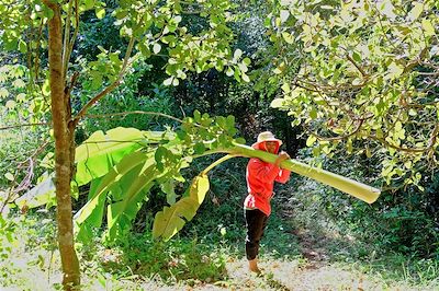 voyage En immersion dans la campagne khmère