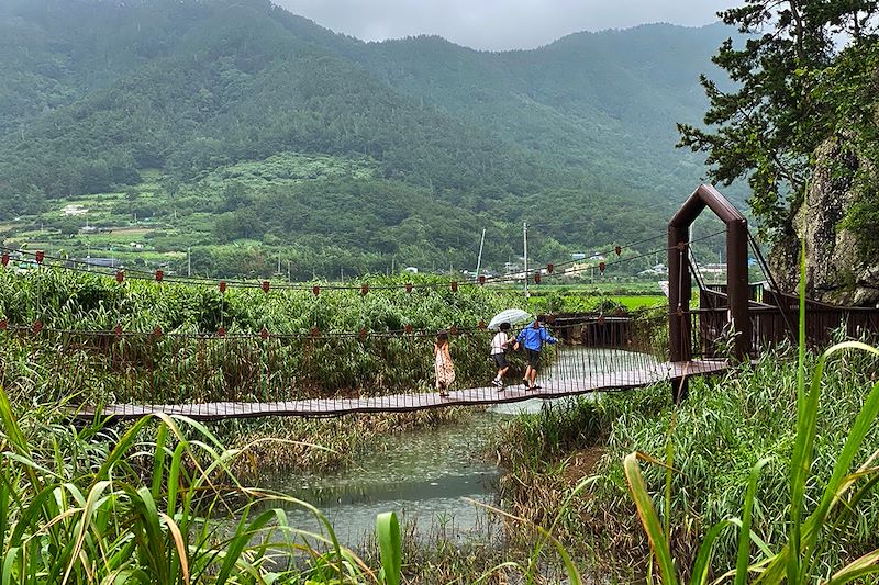 Suncheon Bay Wetland Reserve - Corée du Sud