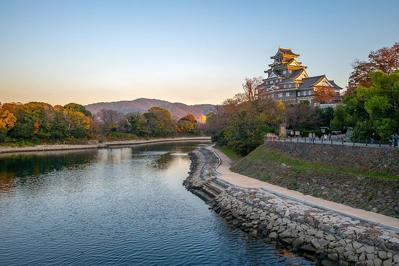 Château d'Okayama - Japon