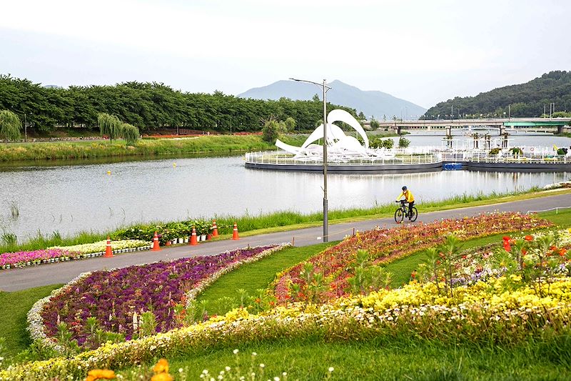 Cycliste au Jardin national de Suncheon - Corée du Sud