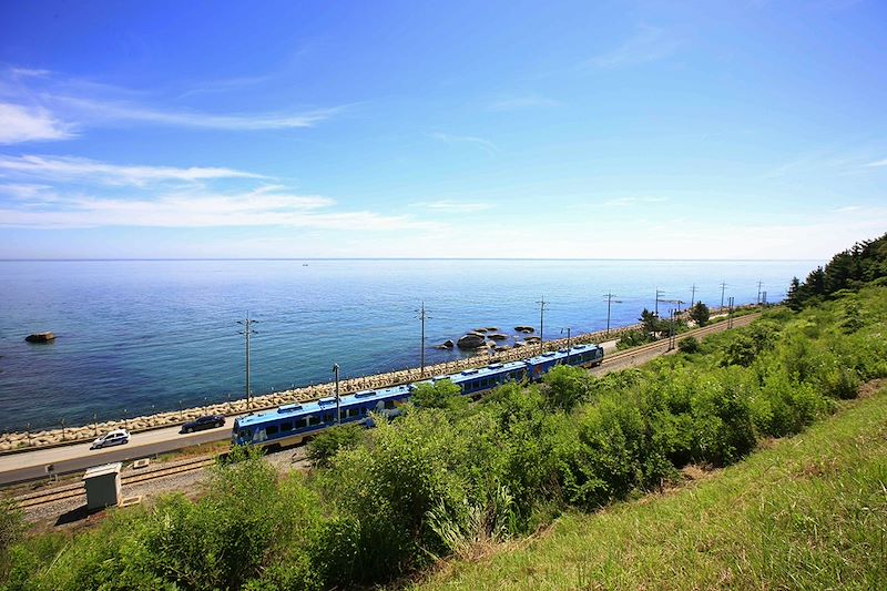 Train sur le littoral - Gangneug - Corée du Sud