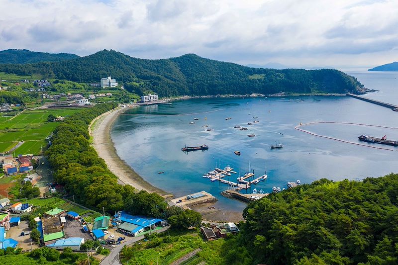Forêt coupe-vent de Mulgeon-ri à Namhae - Corée du Sud