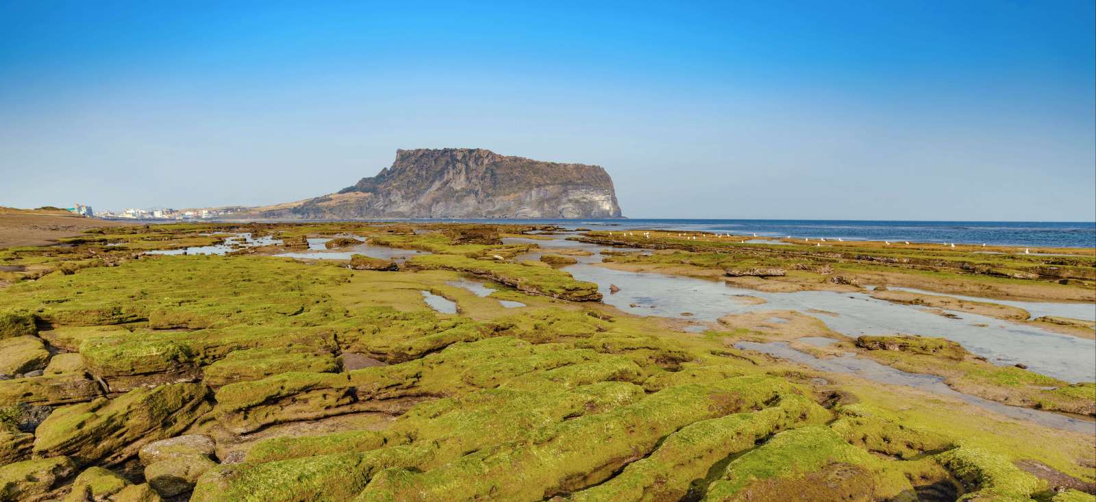 Voyage découverte - Au pays du matin calme et île de Jeju