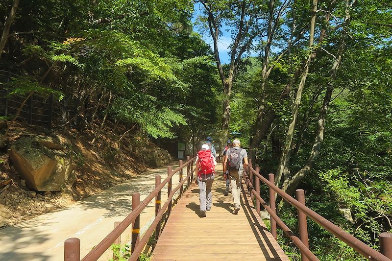 Randonnée dans le parc national de Songnisan - Corée du Sud