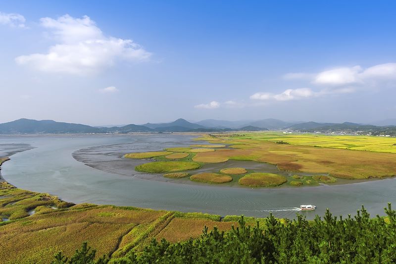 Parc écologique de la baie de Suncheon - Corée du Sud