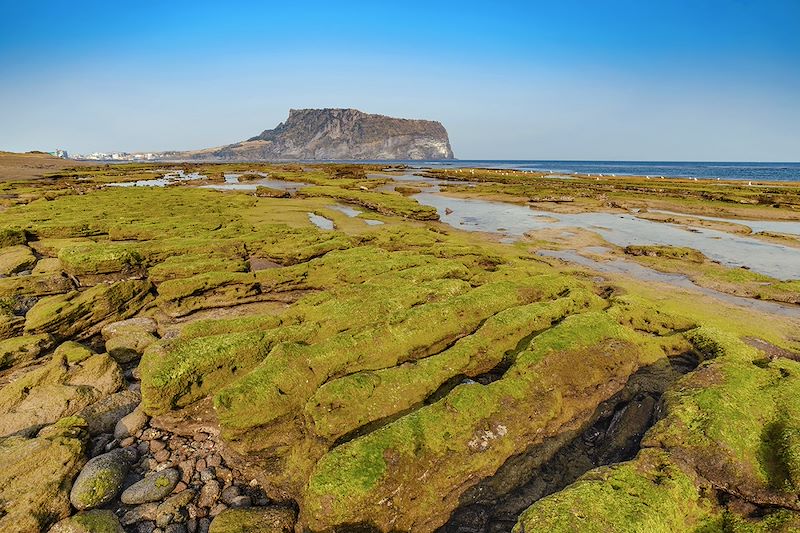 Seongsan Ilchulbong - Île de Jeju - Corée du Sud