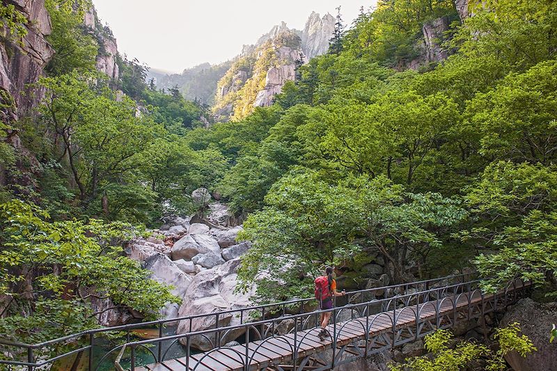 Randonneuse dans le Parc National de Seoraksan - Corée du Sud