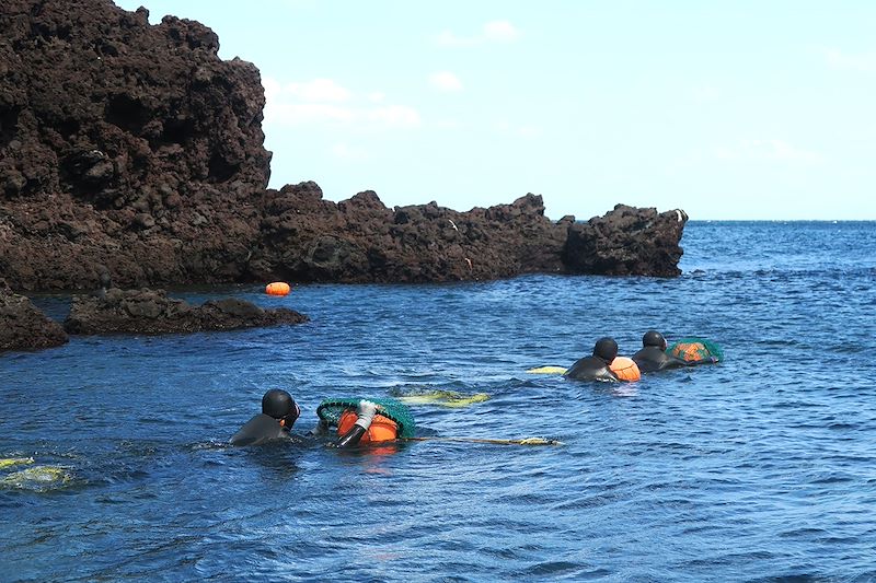 Femmes plongeuses sur l'île de Jeju - Corée du Sud