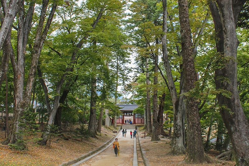 Route du Temple d'Haeinsa - Parc National de Gayasan - Corée du Sud