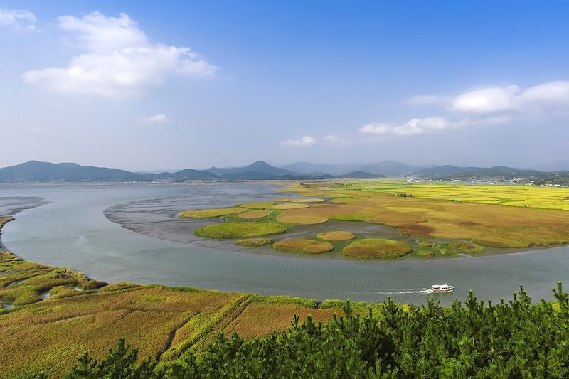 Parc écologique de la baie de Suncheon - Corée du Sud