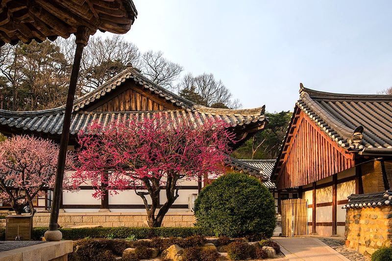 Culture et tradition en Corée du sud 
