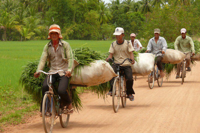 Cambodge