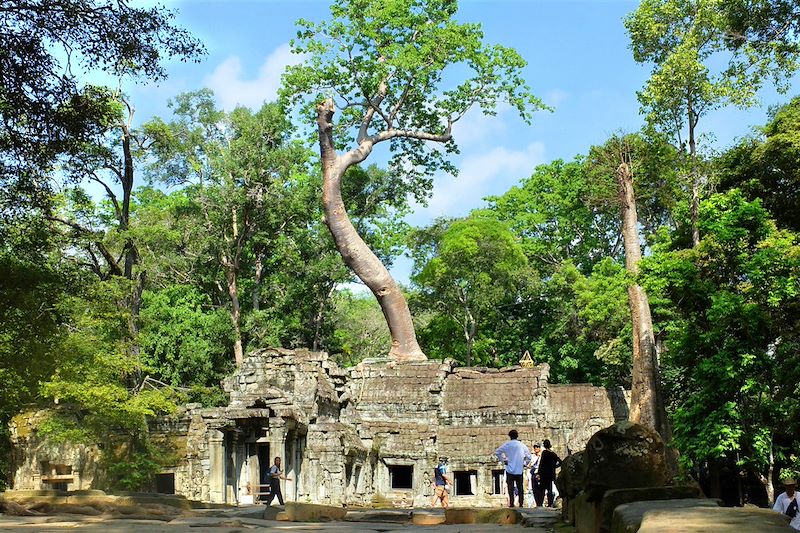 Temple d'Angkor - Cambodge