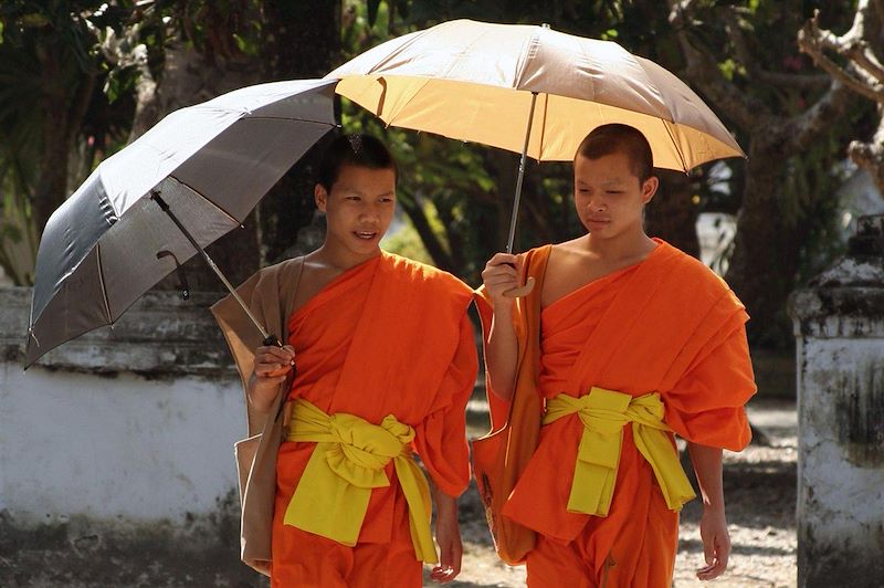 Randonnée dans la région de Phongsali et balade autour de Luang Prabang 11