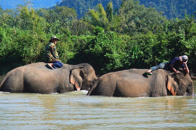 Randonnée dans la région de Phongsali et balade autour de Luang Prabang 13