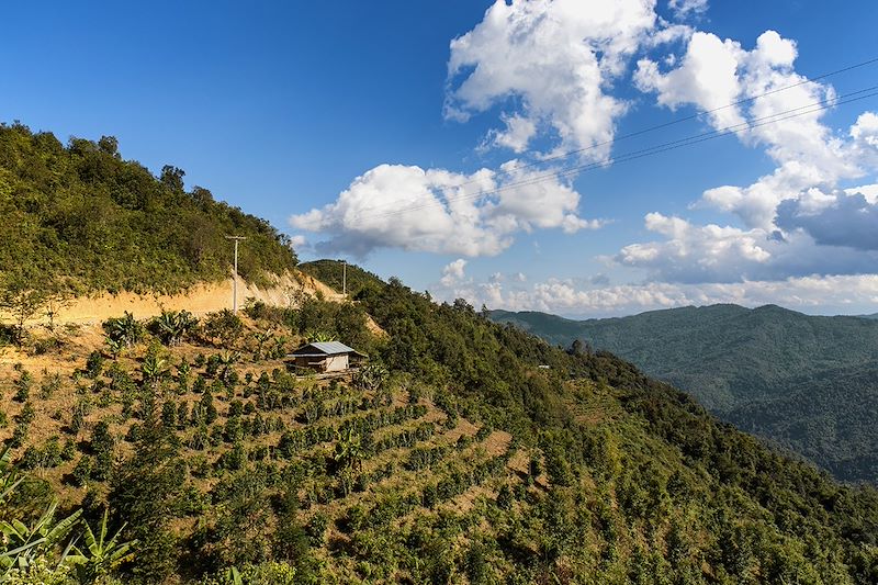 Randonnée dans la région de Phongsali et balade autour de Luang Prabang 6