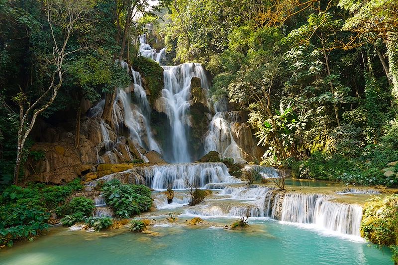 Randonnée dans la région de Phongsali et balade autour de Luang Prabang 4
