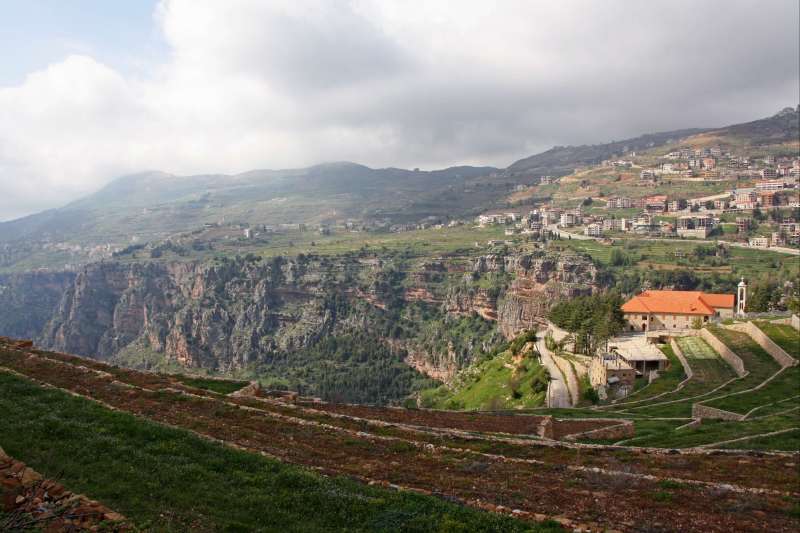 Sentiers des cèdres et Liban intime